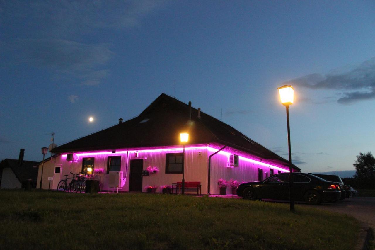 Vila Romnesa Ignalina Bagian luar foto